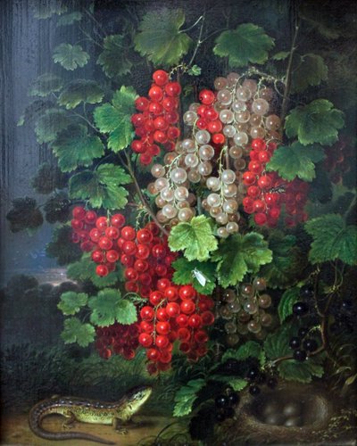 Groselha de Johann Adam Schlesinger
